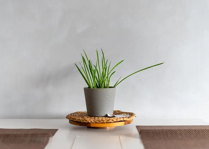 Wyspa Slodowa Serenity By Bookinghost Wrocław