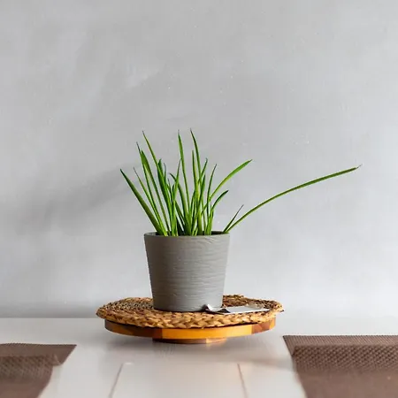 Wyspa Slodowa Serenity By Bookinghost ヴロツワフ